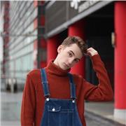 Etudiant natif Français ayant un niveau B2 en Allemand et Anglais